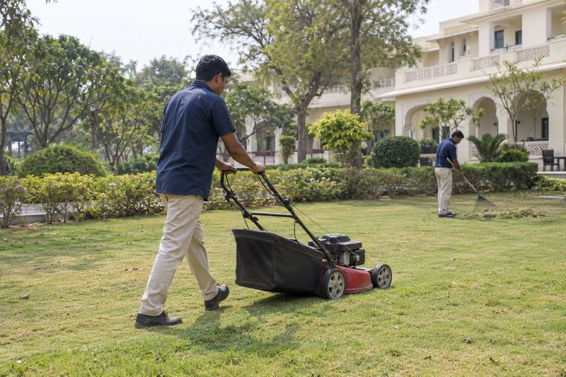 Illustration: mowing and hedge care