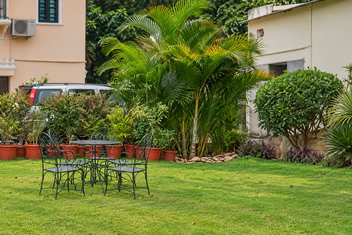 Inder Prakash · Udaipur — palms and shrub planting