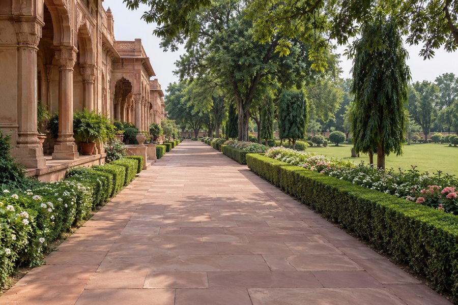 Concept: hedged avenue in sandstone