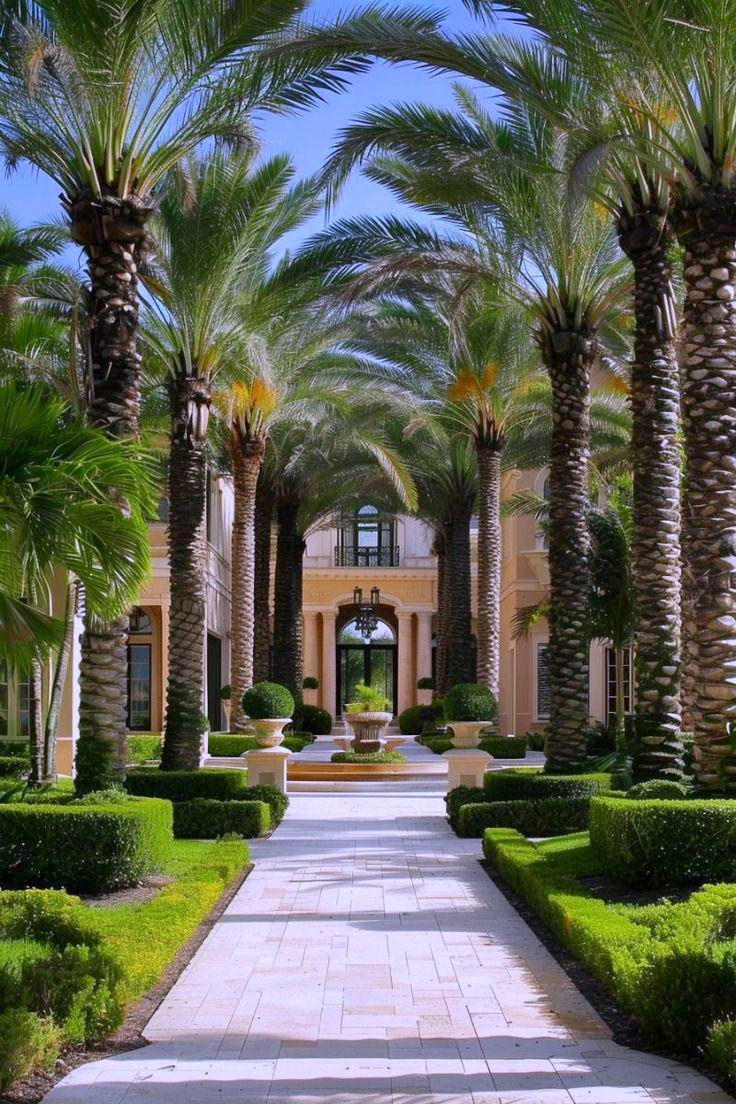 Precedent study: Palm allée · processional arrival