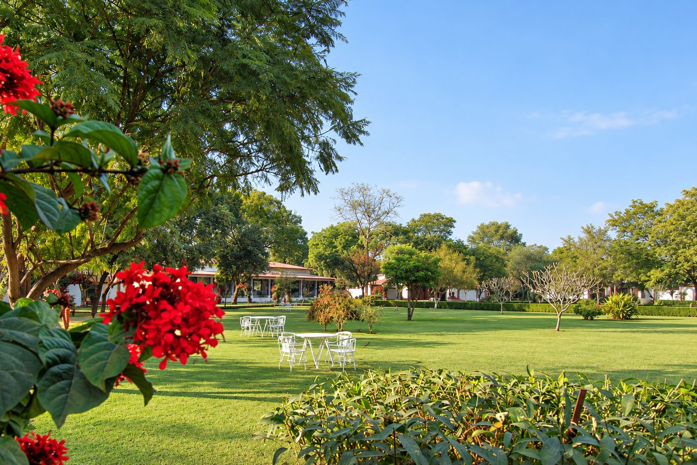 Flowering borders and lawn at Raj Niwas, Dholpur