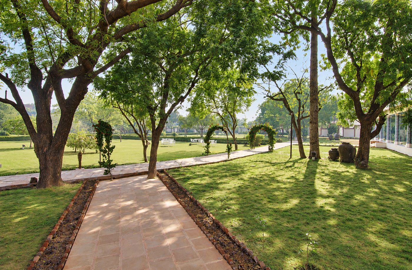 Raj Niwas · Dholpur — shaded walk under mature trees