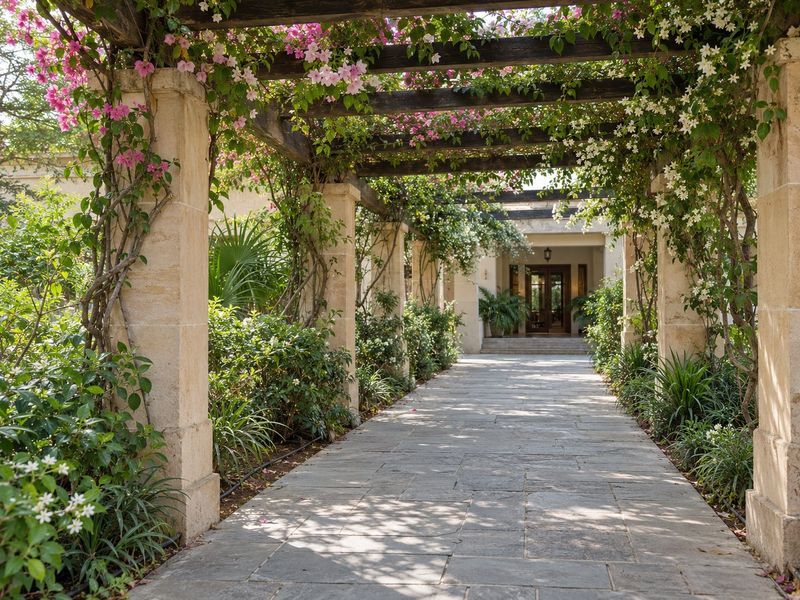 Scheme study: pergola arrival walk with climbers and planted borders