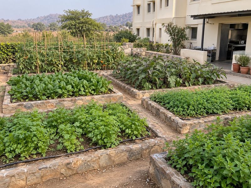 Scheme study: kitchen garden with raised production beds