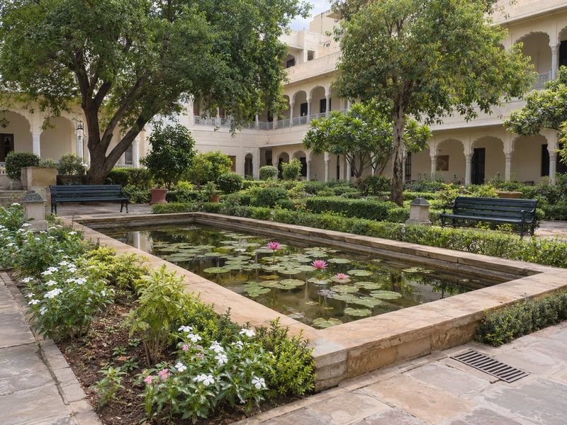 Scheme study: formal lily court with clipped hedging and shade trees